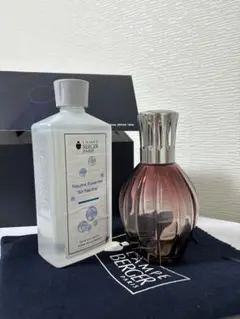 Item thumbnail for item dde34adf-7651-4131-84a2-c384297036d8