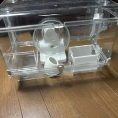 Item thumbnail for item 42a6240e-ea16-465f-aa90-7721eecf479b