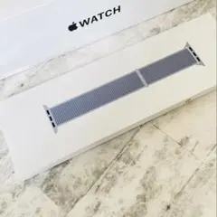 【新品】Apple純正ブルークラウドスポーツループ✴︎series10対応