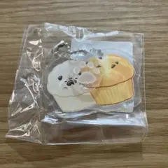 DMMスクラッチ! いーすとけん。E-5賞　アクリルキーホルダー カップパグ