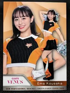 Item thumbnail for item bf9a33eb-e37b-45a1-9ae2-603313f74f40