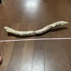 Item thumbnail for item 87dae7a9-21a0-4a6d-8e1b-6bb38e223619