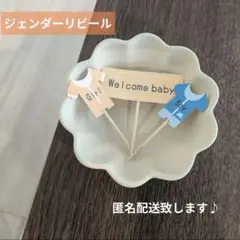【ハンドメイド・匿名配送】ジェンダーリビール　ピック