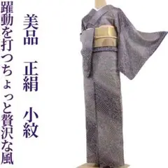 美品 正絹 袷“カワイイと躍動を打つちょっと贅沢な風”小紋 着物 C-91