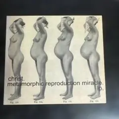 Christ Metamorphic Reproduction Miracle