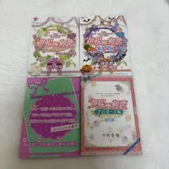 世界一初恋　中村春菊　映画　特典　小冊子