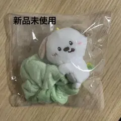 RIIZE アントン モンリョンイ シュシュ