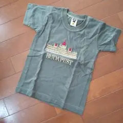 ⭐️未使用⭐️Tシャツ 100～110