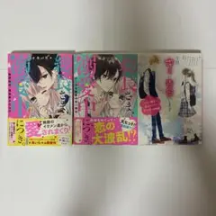 総長さま、溺愛中につき①②と今日、キミに告白します 3冊セット