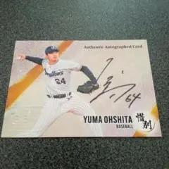 Item thumbnail for item 1e4374b6-934a-4e9e-a670-36c47a923af0