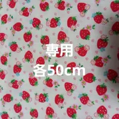専用