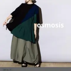 オズモーシス　osmosis 配色切替Tシャツ 美品