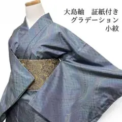 Item thumbnail for item 7ffdfa6c-d39d-43ca-ba25-f7bf3f82a01e