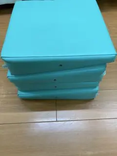 Item thumbnail for item 0c97a35a-8a33-4c63-9073-597dbf9c77fe