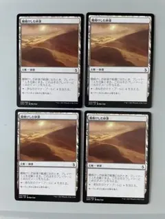 MTG 陽焼けした砂漠 日本語 4枚