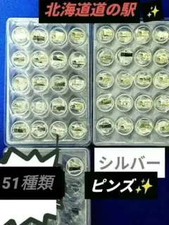 北海道　✨道の駅　ピンズシルバー　ピンズ　最安値21種類2025年はシルバー 2025年最新】道の駅 ピンズ 月形の人気アイテム - メルカリ