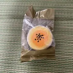 Item thumbnail for item ed8cad78-6786-444f-9ec4-64ee9383fc48