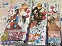 間違いで求婚された女は1年後離縁される　1〜3巻