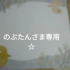 のぶたんさま専用ハンドメイドチャーム