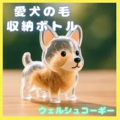 Item thumbnail for item 75f8f87f-ff62-461a-82da-9f0d9d70e068