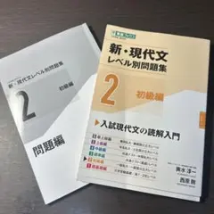 新・現代文レベル別問題集②初級編