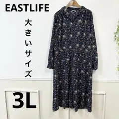 Item thumbnail for item c9c25d13-18fd-4598-9d42-1cd1d0531f9f