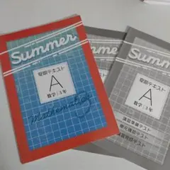 中3数学 夏期テキストA(基礎編)＋テスト集 教育開発出版 未使用品 送料無料