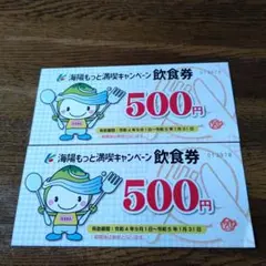 海陽もっと満喫キャンペーン飲食券2枚
500円