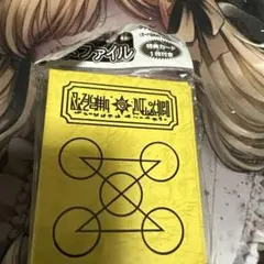 金色のガッシュベル！！魔本ファイル　特典カード　キャンチョメ付き
