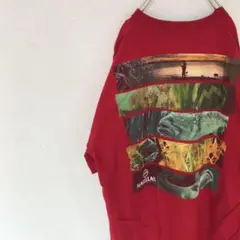 USA購入 magellan オーバーサイズ Tシャツ