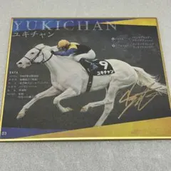色紙コレクション　ユキチャン