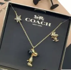 ★専用BOX付き‼︎新品 COACH コーチ× スヌーピー コラボ ネックレス