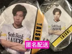 TAISHI 若鷹ガチャ 缶バッジ アクリル キーホルダー アクキー