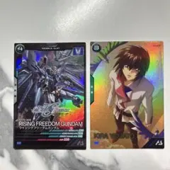 ライジングフリーダムガンダム　キラヤマト