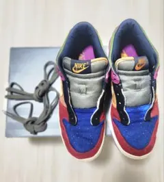 稀少/NIKE/DUNK/2001年モデル/バイオテック/US8(J26)