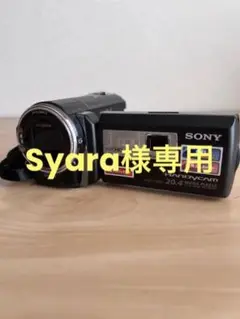SONY HDR-PJ590V