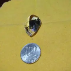 Item thumbnail for item 293e2364-13e0-4c34-858f-8448ea29da7a