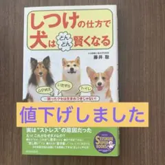 しつけのさ仕方で犬はどんどん賢くなる　藤井聡