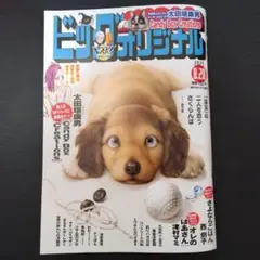 ビッグコミックオリジナル　8.20　最新号（即日発送）