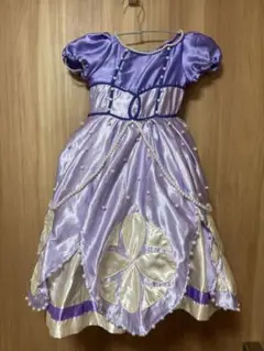 プリンセス風⭐︎ドレス⭐︎Dハロにも