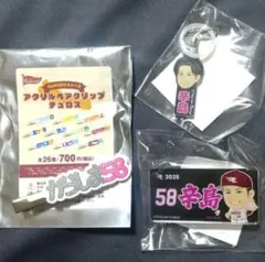 楽天イーグルス　辛島航選手