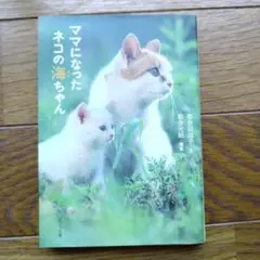 ママになったネコの海ちゃん