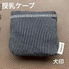 Item thumbnail for item bf7e0cb0-c52e-4cdc-b7ca-9e64ab69cdae