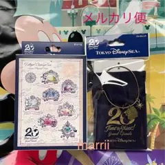 チャーム7個u0026ブレスレット ディズニーシー20周年グランドフィナーレ TDR限定