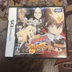 リボーンDS フェイトオブヒート　炎の運命　DS ソフト
