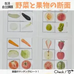 限定値下げ！野菜と果物の断面マッチング モンテッソーリ 知育 特別支援 療育教材