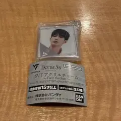 SEVENTEEN セブチ アクリルチャーム ドギョム