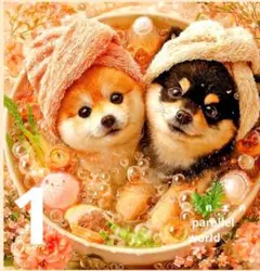 100　★オーダーページ★ハンカチ　柴犬さん柄8/22
