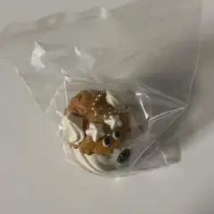 Maison Terrier メゾンテリア シュークリーム