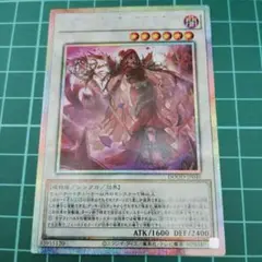 [A]黒薔薇と荊刺の魔女 プリズマティックシークレット